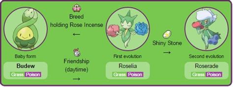 how to evolve budew.